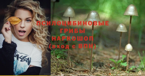 mdpv Надым