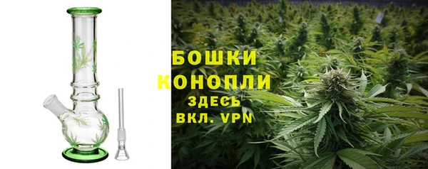 молекула духа Рыльск