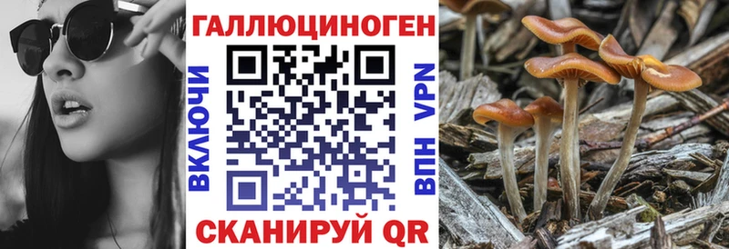 ОМГ ОМГ   Нижнекамск  Галлюциногенные грибы Magic Shrooms 